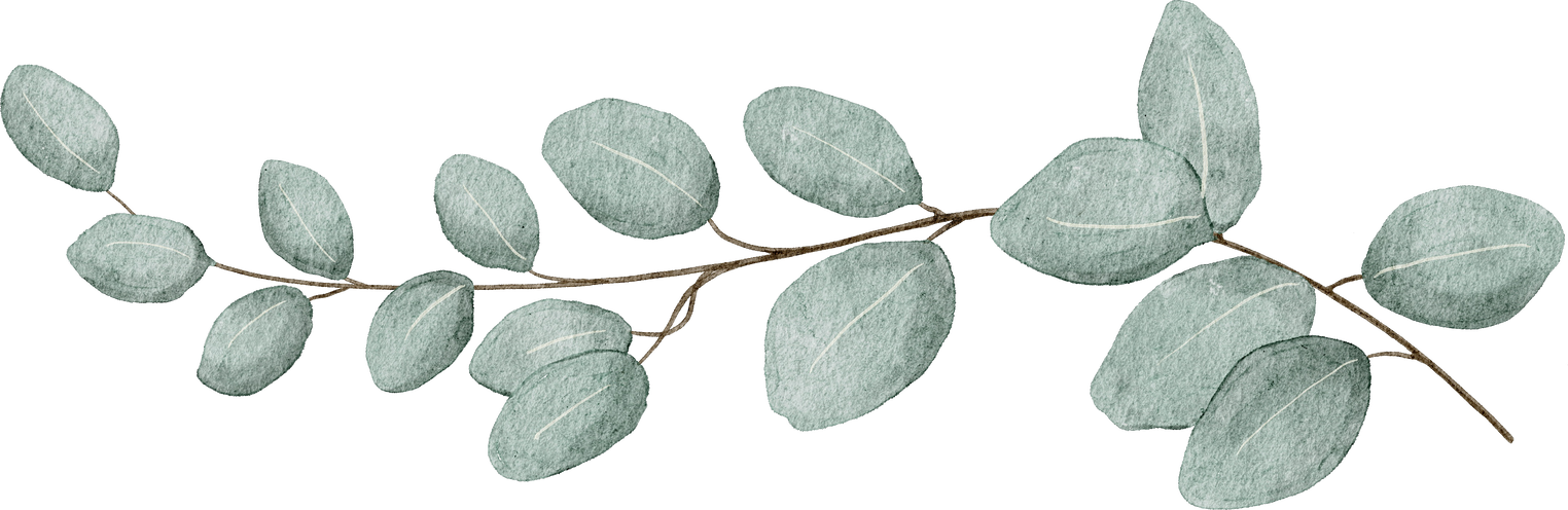 Leaf Eucalyptus watercolor